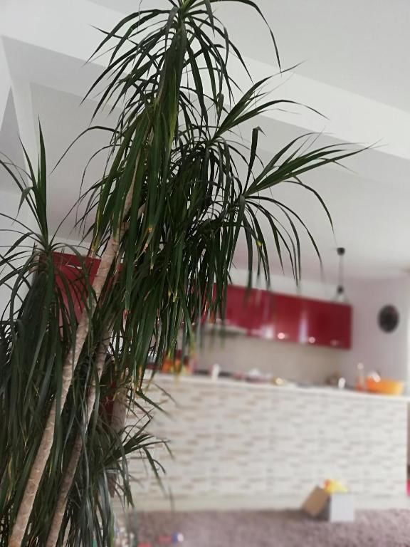 Виллы Casa Luca Ama Bran Бран-53