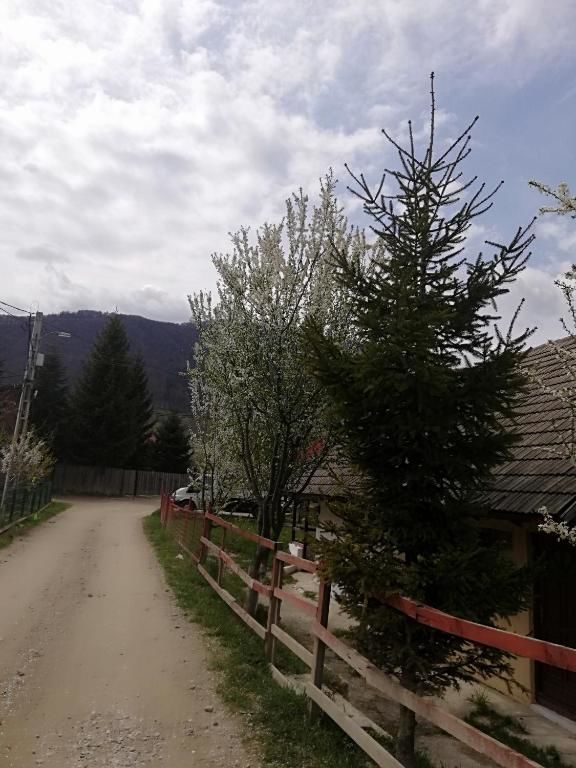 Виллы Casa Luca Ama Bran Бран-80