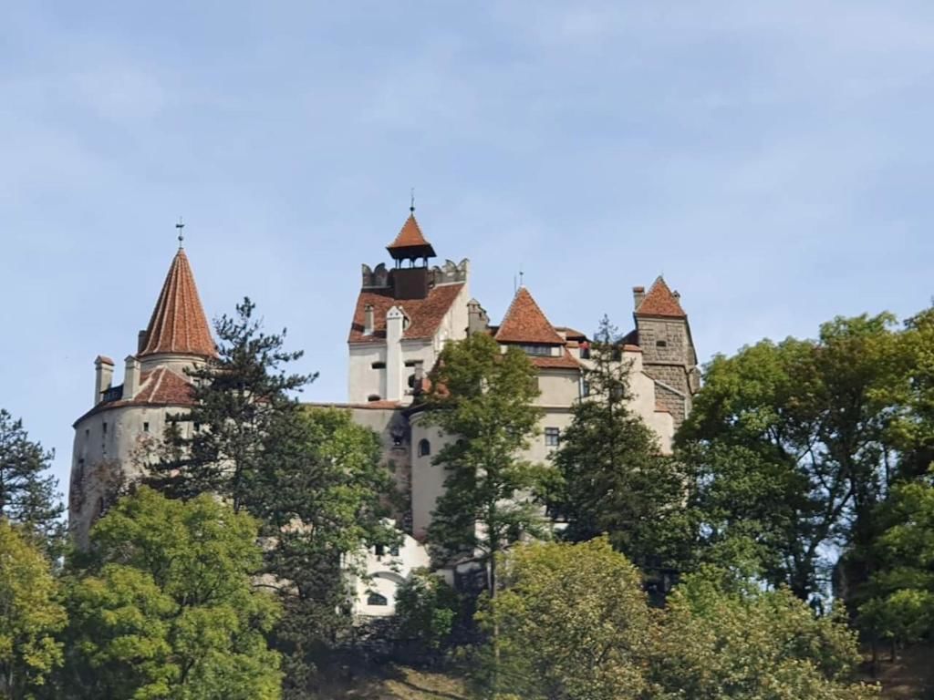 Виллы Casa Luca Ama Bran Бран-82