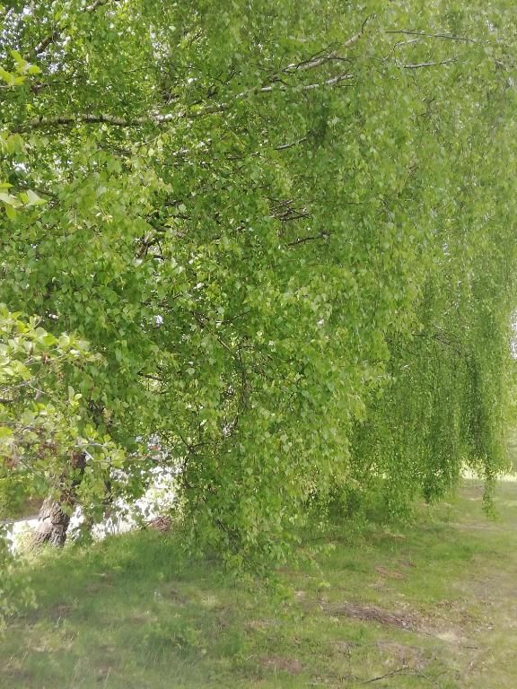 Виллы Casa Luca Ama Bran Бран-90
